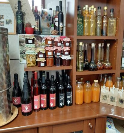 Degustacije vin Kras