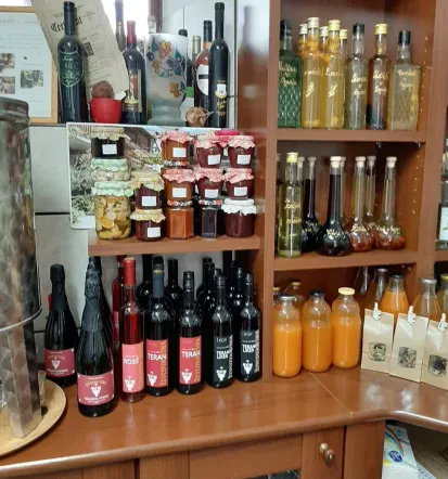 Degustacije vin Kras