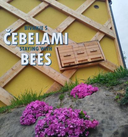 Najem družinskega apartmaja Mala Nedelja