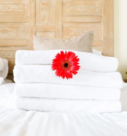 Najem apartmaja Sežana, okolica