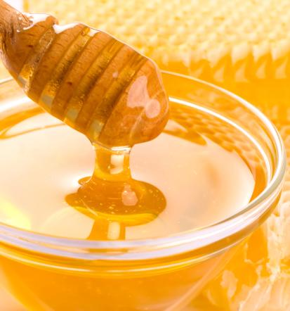 Sveža prodaja domačega medu Maribor neposredno od čebelarja