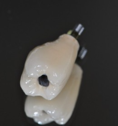 Zobozdravstvena ordinacija s koncesijo Radomlje, Slovenija