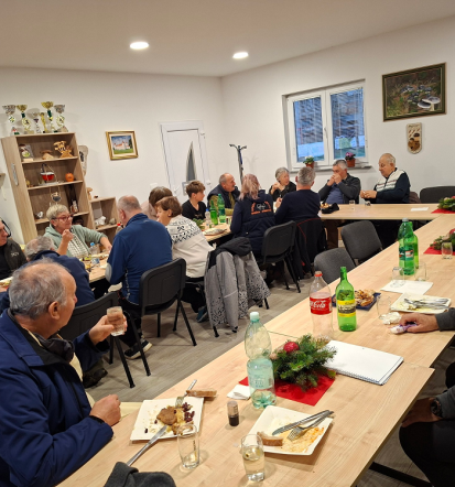 Katere gobe nabirati