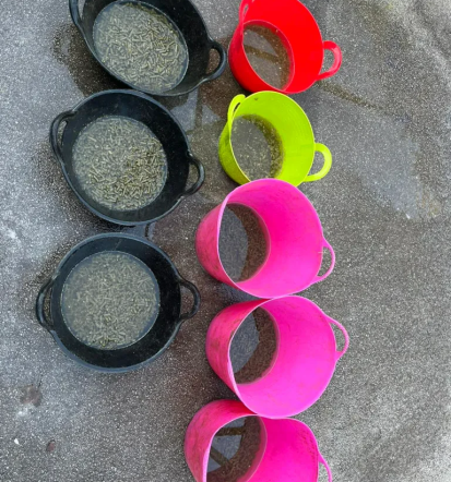 Naravna krma za domače živali Slovenija