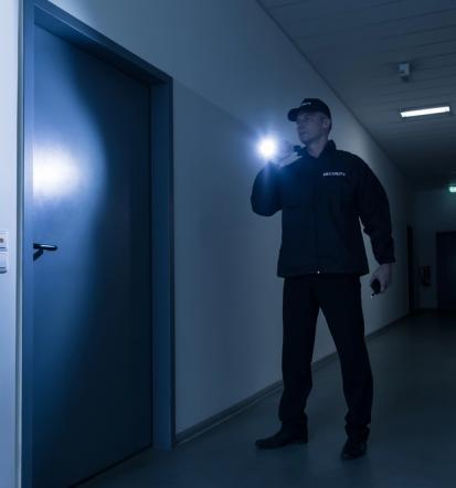 Zasebno varovanje Slovenija