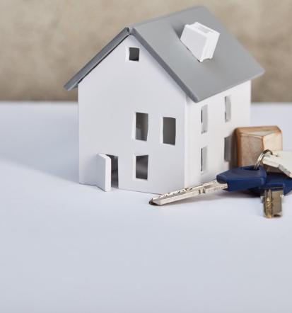 Najboljši nepremičninski agenti Ljubljana, okolica