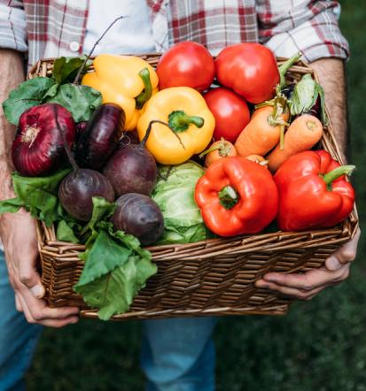 Odkup živali Gornja Radgona