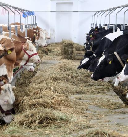Kakovostna oskrba kmetov v severovzhodni Sloveniji