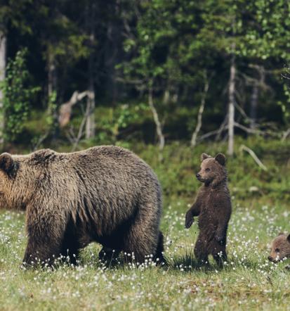 Državni muzej z znanstveno, pedagoško vsebino