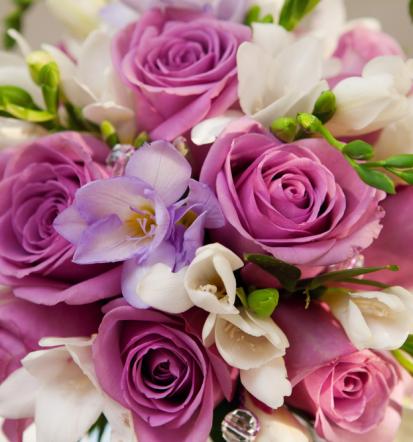 Dekoracija notranjih prostorov cela Slovenija