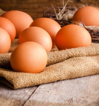 Prodaja repromateriala, kmetijska zadruga Prekmurje