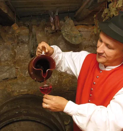 Degustacije vin in nočitve v zidanici Dolenjska