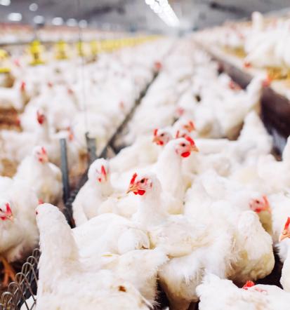 Lokalna podpora slovenskemu kmetijstvu