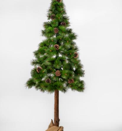 Nakup ugodne božične jelke Slovenija