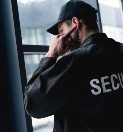 Telesna straža Slovenija