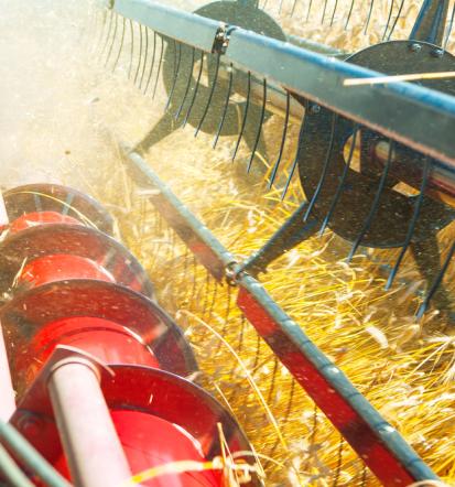 Nakup repromateriala, kmetijska zadruga Prekmurje, Pomurje