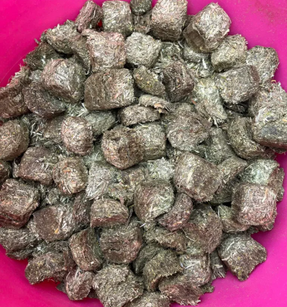 Kakovostna krma in oprema za domače živali Slovenija