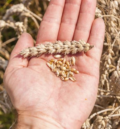 Kmetijska zadruga Naklo, Gorenjska regija