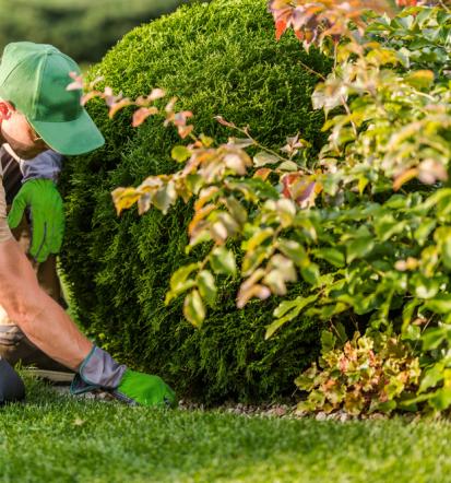 Urejanje okolice Ljubljana