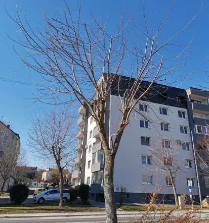 Arboristika