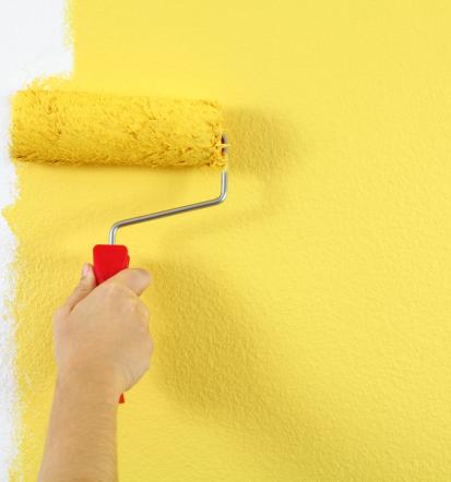 Slikopleskar Savinjska regija