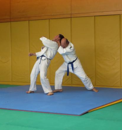 Borilne veščine Goriška