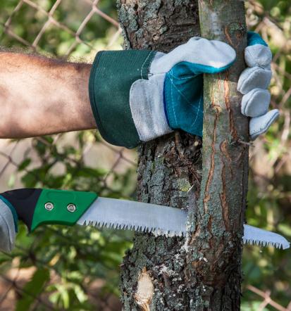 Arboristika in urejanje okolice Litija, Ljubljana