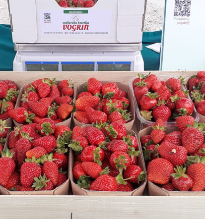 Domača jabolka, sok, marmelada