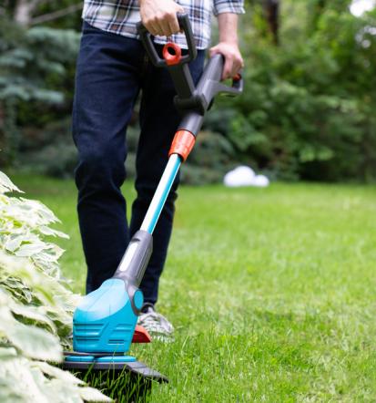 Arboristika Litija, Ljubljana