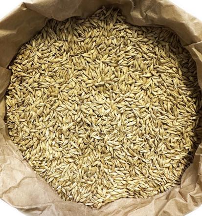 Spletna prodaja, konjska hrana in prehranski dodatki Slovenija