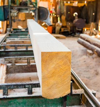 Ugodna prodaja rezanega lesa in odkup hlodovine Savinjska