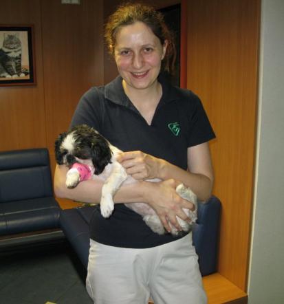 Veterina Gornja Radgona, Pomurje