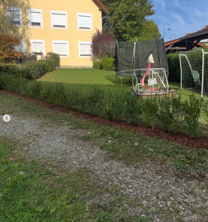 Obrezovanje dreves Murska Sobota, Pomurje