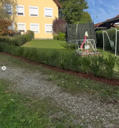 Obrezovanje dreves Murska Sobota, Pomurje