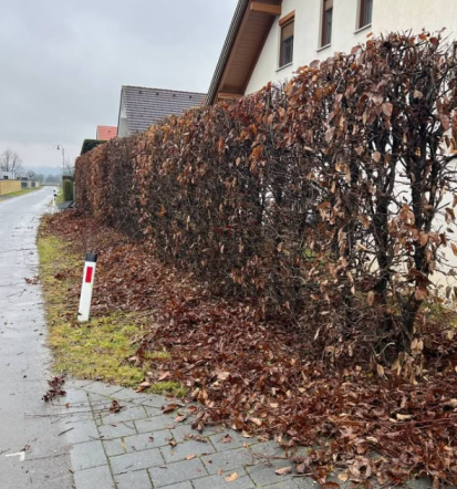 Ugoden odvoz razsutega tovora Murska Sobota, okolica