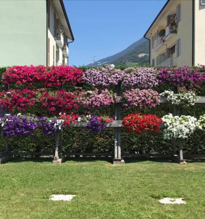 Drevesnica Ljubljana