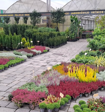 Vzdrževanje in sajenje trajnic ter grmovnic Ljubljana