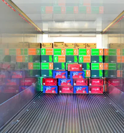Frigo prevozi Slovenija