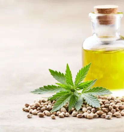 Prodaja CBD izdelkov Slovenija
