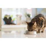 NEXOMA, Max Horvat s.p.