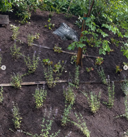 Prezračevanje trate Murska Sobota, Pomurje