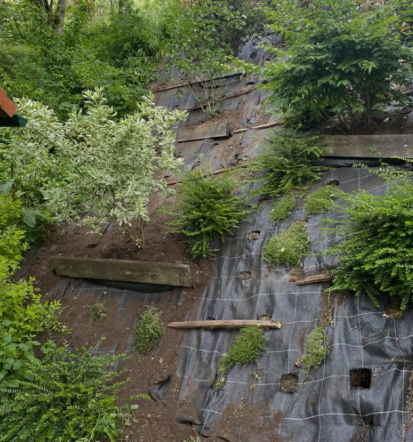 Čiščenje okolice Murska Sobota, Pomurje