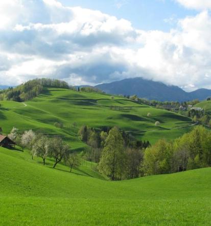 Turistična kmetija s prenočišči Gorenjska