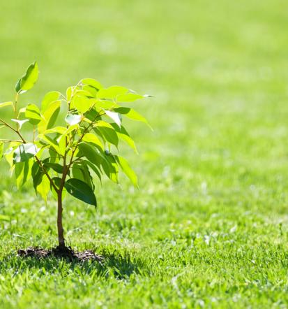 Izvedba zemeljski del Obala