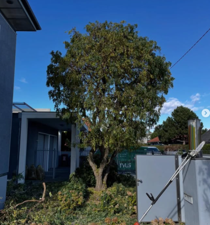 Urejanje okolice Pomurje