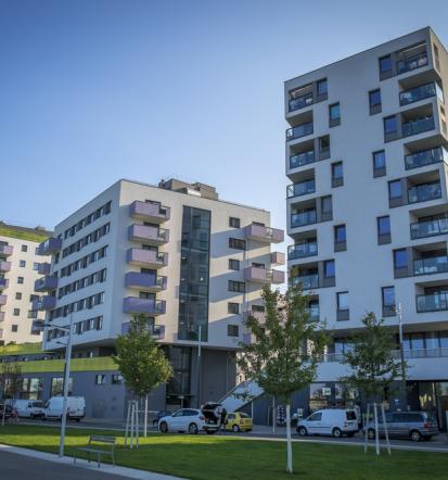 Beljenje fasade Celje, Savinjska