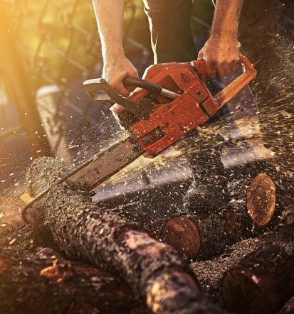 Gregor Udir s.p., vaš partner za ugoden rezan les in posek lesa Gorenjska