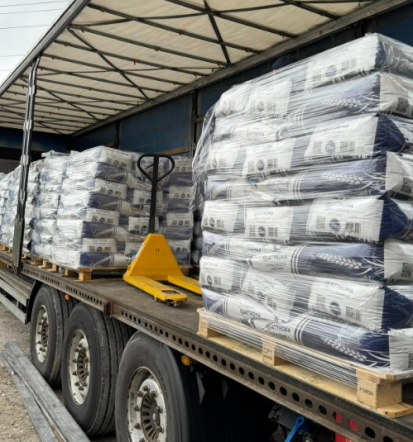 Najboljši hibridi za prodajo semenske koruze Slovenija