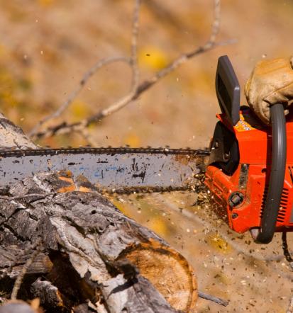 Hitro in učinkovito, ugoden rezan les in posek lesa Gorenjska