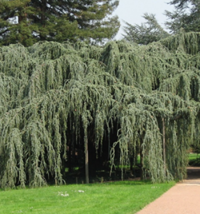 Kompletno urejanje okolice Štajerska regija